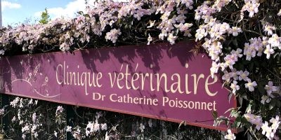 Image Enseigne avec fleurs Clinique Vétérinaire Poissonnet 1800x1200